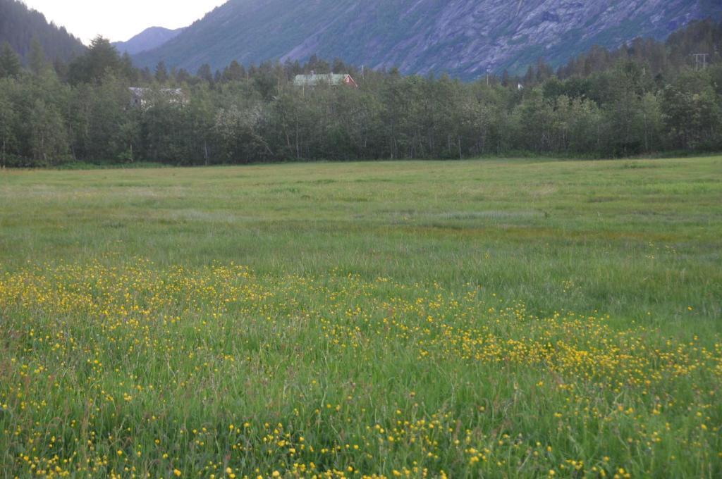 Nigardsbreen Lodge Luster 外观 照片